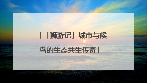 「狮游记」城市与候鸟的生态共生传奇