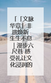 「文脉华章」非遗焕新 生生不息｜漫步六尺巷 感受礼让文化浸润的“巷”往生活