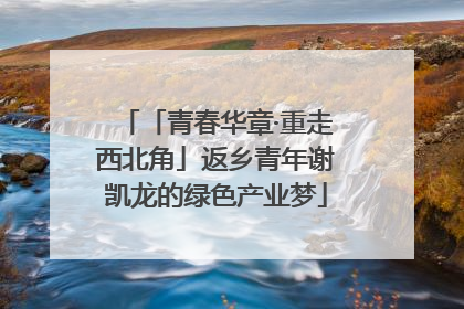 「青春华章·重走西北角」返乡青年谢凯龙的绿色产业梦