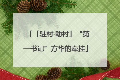「驻村·助村」“第一书记”方华的牵挂