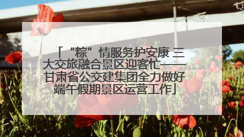 “粽”情服务护安康 三大交旅融合景区迎客忙——甘肃省公交建集团全力做好端午假期景区运营工作