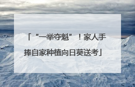 “一举夺魁”！家人手捧自家种植向日葵送考