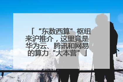 “东数西算”枢纽来沪推介，这里竟是华为云、腾讯和网易的算力“大本营”