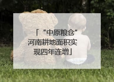 “中原粮仓”河南耕地面积实现四年连增