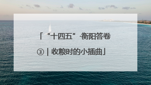 “十四五”·衡阳答卷③｜收粮时的小插曲
