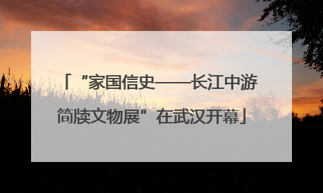 “家国信史——长江中游简牍文物展”在武汉开幕