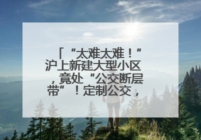 “太难太难！”沪上新建大型小区，竟处“公交断层带”！定制公交，又成“鸡肋”