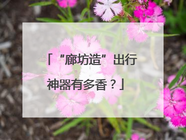 “廊坊造”出行神器有多香？