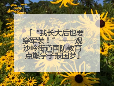 “我长大后也要穿军装！”——观沙岭街道国防教育点燃学子报国梦