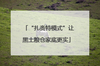 “扎赉特模式”让黑土粮仓家底更实