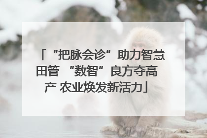 “把脉会诊”助力智慧田管 “数智”良方夺高产 农业焕发新活力