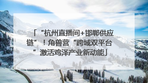 “杭州直播间+邯郸供应链”！角兽营“跨域双平台”激活鸡泽产业新动能