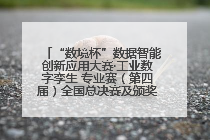 “数境杯”数据智能创新应用大赛·工业数字孪生 专业赛（第四届）全国总决赛及颁奖典礼成功举办
