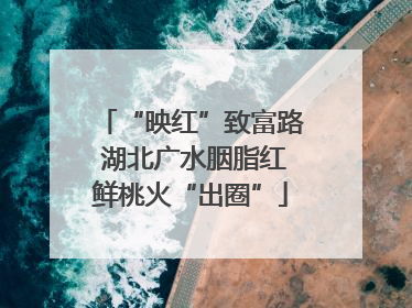 “映红”致富路 湖北广水胭脂红鲜桃火“出圈”