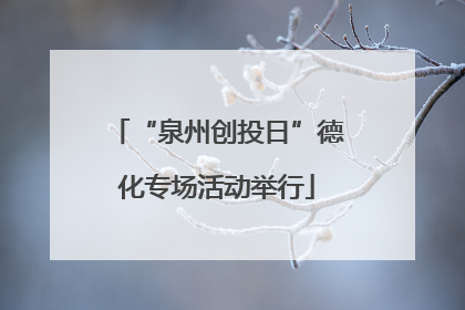 “泉州创投日”德化专场活动举行