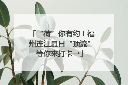 “荷”你有约！福州连江夏日“顶流”等你来打卡→