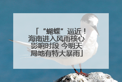 “蝴蝶”逼近！海南进入风雨核心影响时段 今明天局地有特大暴雨
