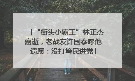 “街头小霸王”林正杰癌逝，老战友许国泰曝他遗愿：没打垮民进党