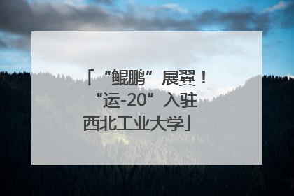 “鲲鹏”展翼！“运-20”入驻西北工业大学