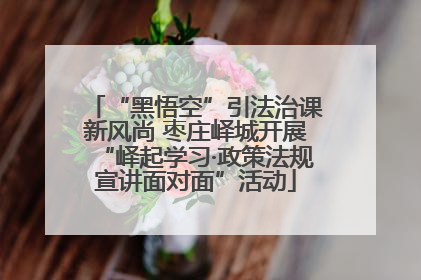 “黑悟空”引法治课新风尚 枣庄峄城开展“峄起学习·政策法规宣讲面对面”活动