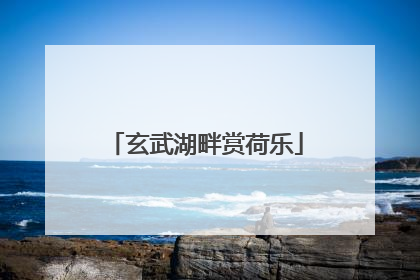 玄武湖畔赏荷乐