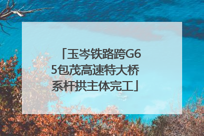 玉岑铁路跨G65包茂高速特大桥系杆拱主体完工