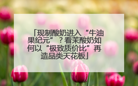 现制酸奶进入“牛油果纪元”？看茉酸奶如何以“极致质价比”再造品类天花板