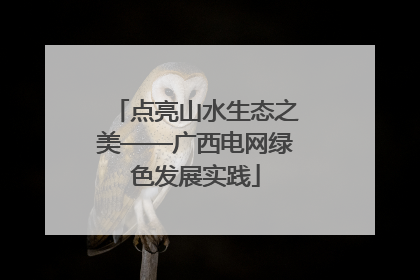 点亮山水生态之美——广西电网绿色发展实践
