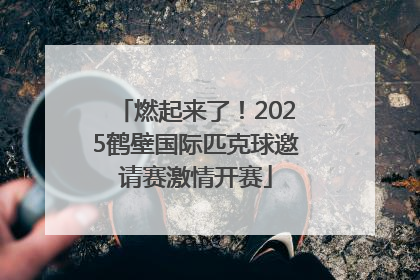 燃起来了！2025鹤壁国际匹克球邀请赛激情开赛
