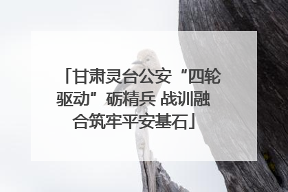 甘肃灵台公安“四轮驱动”砺精兵 战训融合筑牢平安基石