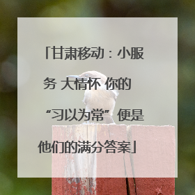 甘肃移动：小服务 大情怀 你的“习以为常”便是他们的满分答案