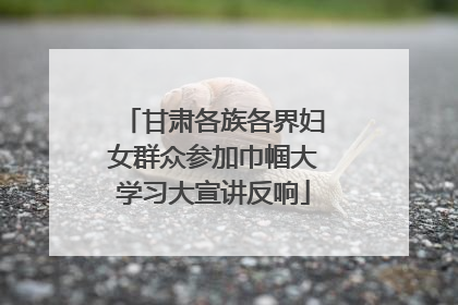 甘肃各族各界妇女群众参加巾帼大学习大宣讲反响