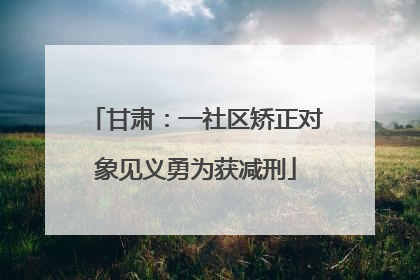 甘肃：一社区矫正对象见义勇为获减刑