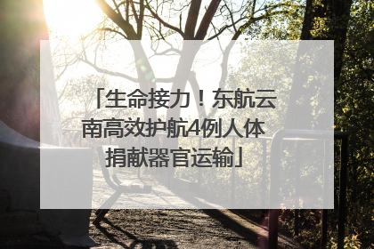 生命接力！东航云南高效护航4例人体捐献器官运输