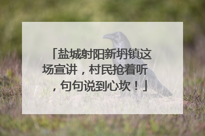 盐城射阳新坍镇这场宣讲，村民抢着听，句句说到心坎！