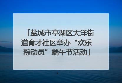 盐城市亭湖区大洋街道育才社区举办“欢乐粽动员”端午节活动
