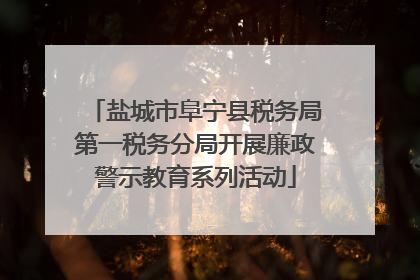 盐城市阜宁县税务局第一税务分局开展廉政警示教育系列活动