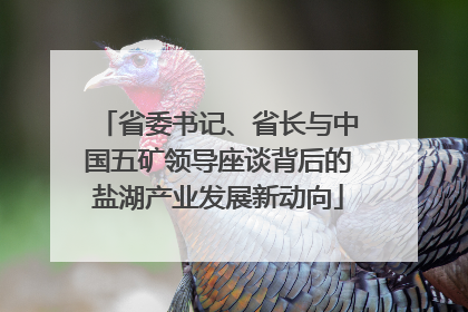 省委书记、省长与中国五矿领导座谈背后的盐湖产业发展新动向