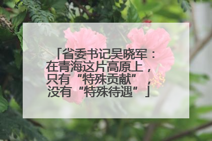 省委书记吴晓军：在青海这片高原上，只有“特殊贡献”，没有“特殊待遇”