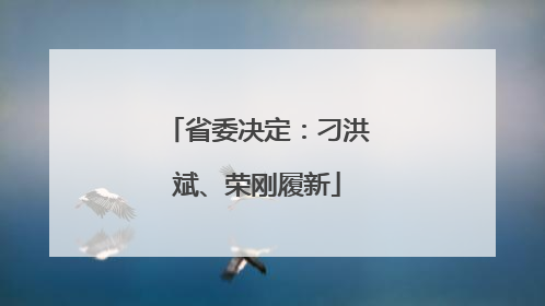 省委决定：刁洪斌、荣刚履新