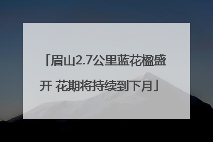 眉山2.7公里蓝花楹盛开 花期将持续到下月