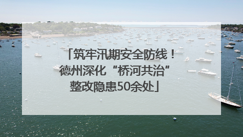 筑牢汛期安全防线！德州深化“桥河共治”整改隐患50余处