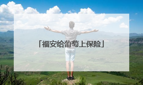 福安给葡萄上保险