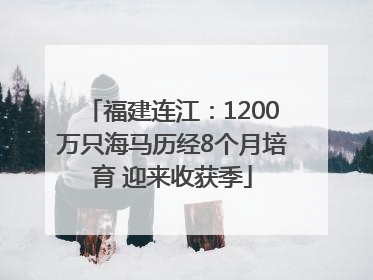 福建连江：1200万只海马历经8个月培育 迎来收获季