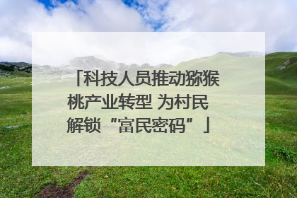 科技人员推动猕猴桃产业转型 为村民解锁“富民密码”