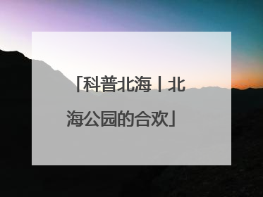 科普北海丨北海公园的合欢