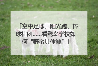 空中足球、阳光跑、棒球社团……看鹭岛学校如何“野蛮其体魄”