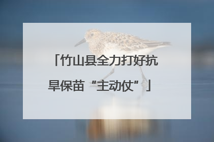 竹山县全力打好抗旱保苗“主动仗”