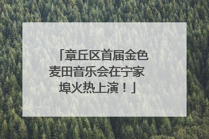 章丘区首届金色麦田音乐会在宁家埠火热上演！