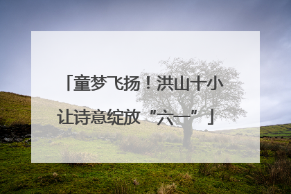童梦飞扬！洪山十小让诗意绽放“六一”